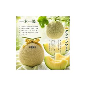 ふるさと納税 メロン メロン青肉 静岡県 森町...の詳細画像4