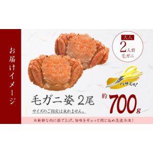 ふるさと納税 カニ 毛ガニ 北海道 弟子屈町 ...の詳細画像4