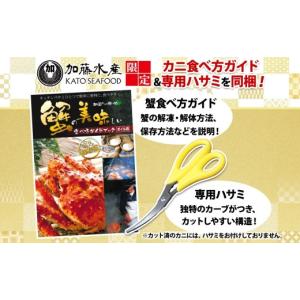 ふるさと納税 カニ 毛ガニ 北海道 弟子屈町 ...の詳細画像5