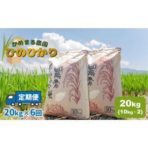 ふるさと納税 米 ヒノヒカリ 熊本県 玉名市 定...の商品画像