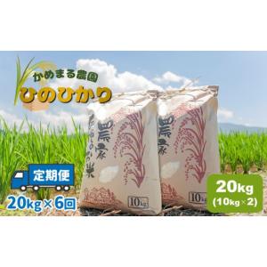 ふるさと納税 米 ヒノヒカリ 熊本県 玉名市 ...の詳細画像1