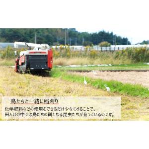 ふるさと納税 米 ヒノヒカリ 熊本県 玉名市 ...の詳細画像2