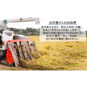 ふるさと納税 米 ヒノヒカリ 熊本県 玉名市 ...の詳細画像3