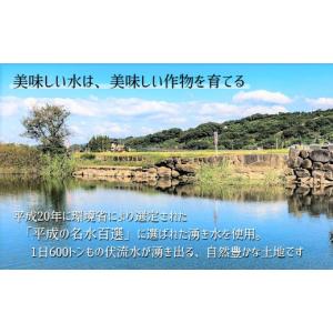 ふるさと納税 米 ヒノヒカリ 熊本県 玉名市 ...の詳細画像4