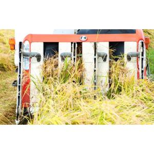 ふるさと納税 米 ヒノヒカリ 熊本県 玉名市 ...の詳細画像5