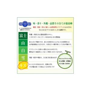 ふるさと納税 メロン メロン青肉 静岡県 袋井...の詳細画像2