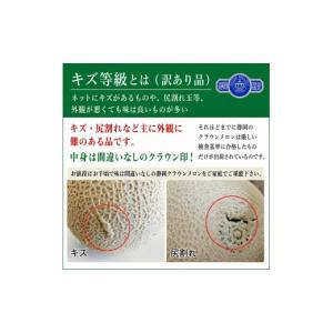 ふるさと納税 メロン メロン青肉 静岡県 袋井...の詳細画像3