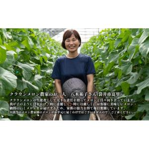 ふるさと納税 メロン メロン青肉 静岡県 袋井...の詳細画像5
