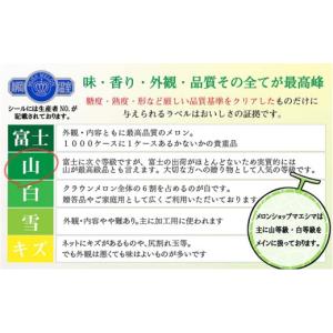 ふるさと納税 メロン メロン青肉 静岡県 袋井...の詳細画像2