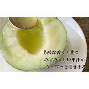 ふるさと納税 メロン メロン青肉 静岡県 袋井...の詳細画像3