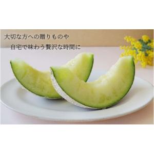 ふるさと納税 メロン メロン青肉 静岡県 袋井...の詳細画像4