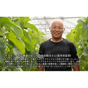 ふるさと納税 メロン メロン青肉 静岡県 袋井...の詳細画像5