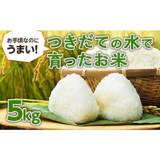 ふるさと納税 福島県 伊達市 お手頃なのにうまい！つきだての水で育ったお米（5kg） F20C-51...