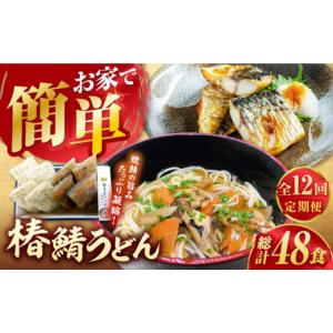 ふるさと納税 うどん 生・半生めん 長崎県 五...の詳細画像1