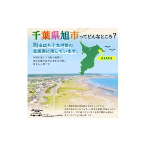ふるさと納税 体験チケット 千葉県 旭市 船釣...の詳細画像4