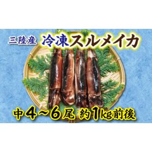 ふるさと納税 岩手県 普代村 冷凍スルメイカ中4〜６本...