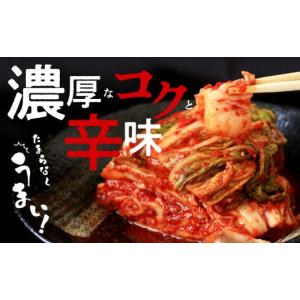 ふるさと納税 加工品等 キムチ 大阪府 泉佐野...の詳細画像5