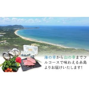 ふるさと納税 イベントやチケット等 福岡県 糸...の詳細画像2