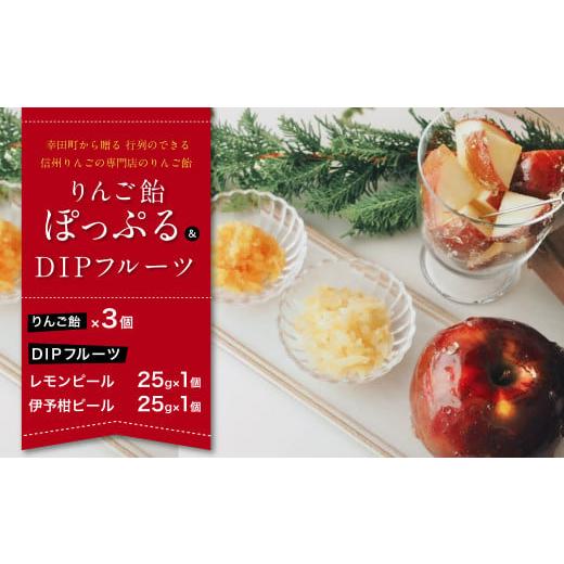 ふるさと納税 りんご 愛知県 幸田町 幸田町から贈る 行列のできる信州りんごの専門店のりんご飴『ぽっ...
