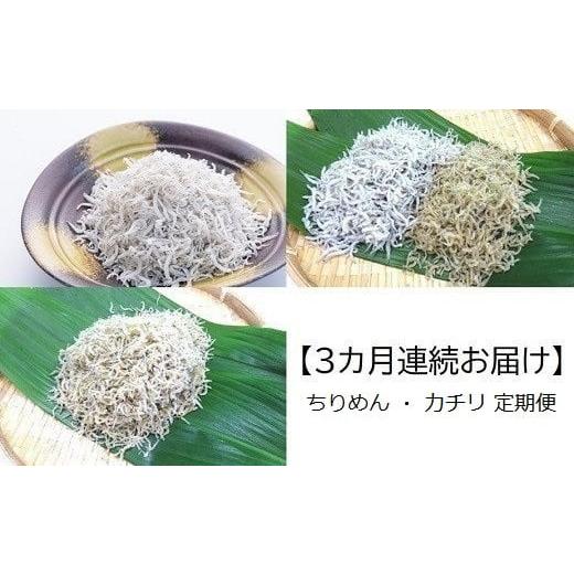 ふるさと納税 魚貝類 ちりめん 高知県 黒潮町  3カ月 連続お届け ちりめん カチリ 定期便 3回...