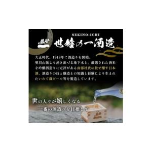 ふるさと納税 ビール 地ビール 岩手県 一関市...の詳細画像2