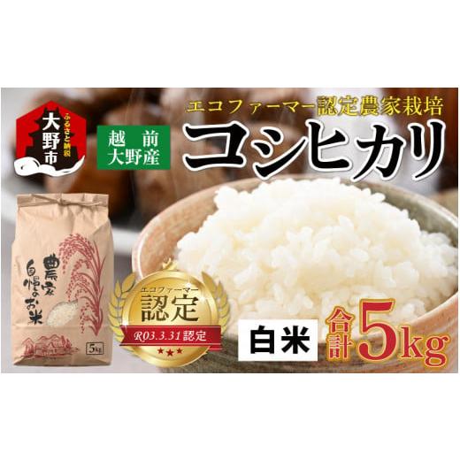 ふるさと納税 福井県 大野市 【令和5年産】エコファーマー認定農家栽培 コシヒカリ（白米）5kg