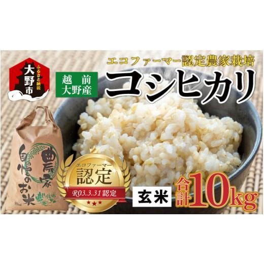 ふるさと納税 福井県 大野市 【令和5年産】越前大野産 エコファーマー認定農家栽培 コシヒカリ10k...