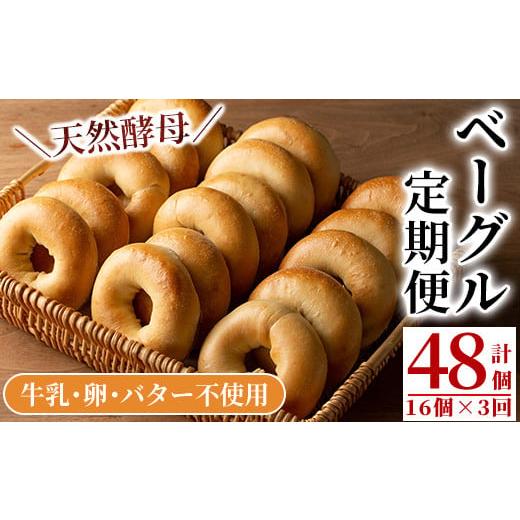 ふるさと納税 パン 鹿児島県 伊佐市 isa333 定期便・全3回(3ヶ月連続) プレーンベーグル(...