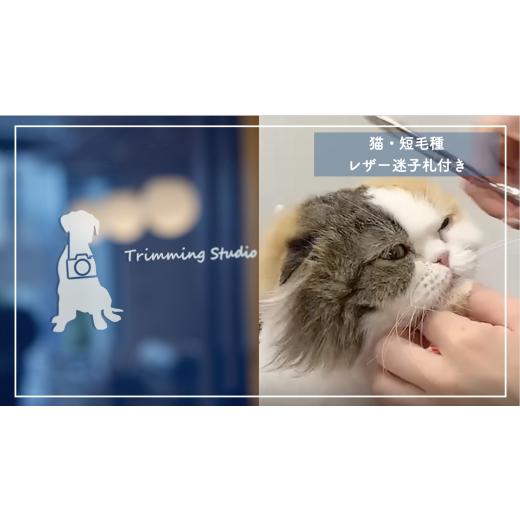 ふるさと納税 埼玉県 北本市 トリミングチケット【猫短毛種】レザー迷子札付き【 犬 猫 ドッグ キャ...