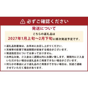 ふるさと納税 みかん・柑橘類 熊本県 熊本市 ...の詳細画像3