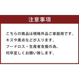 ふるさと納税 みかん・柑橘類 熊本県 熊本市 ...の詳細画像4