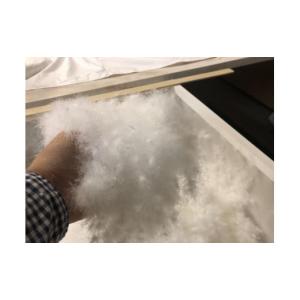 ふるさと納税 タオル・寝具 掛け布団 和歌山県...の詳細画像3