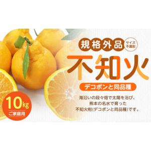 ふるさと納税 みかん・柑橘類 熊本県 熊本市 ...の詳細画像1