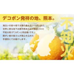 ふるさと納税 みかん・柑橘類 熊本県 熊本市 ...の詳細画像4