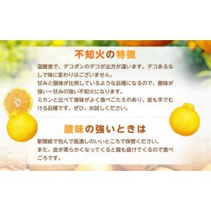 ふるさと納税 みかん・柑橘類 熊本県 熊本市 ...の詳細画像5