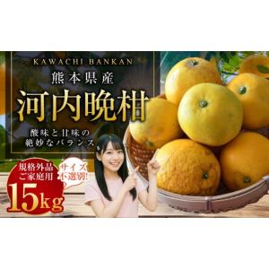 ふるさと納税 【規格外品】はるか ご家庭用 10kg サイズ不選別 サラダ