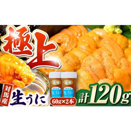 ふるさと納税 長崎県 対馬市 対馬産 生うに 60g×2本《対馬市》【保家商事】 ウニ うに 冷凍 ...