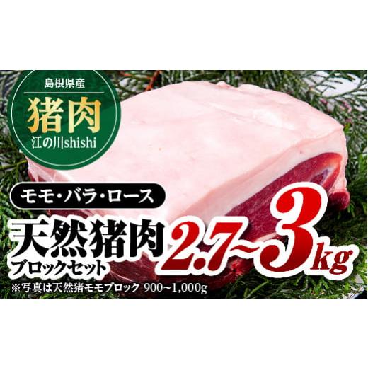 ふるさと納税 島根県 江津市 江の川shishi ブロックセット 2.7kg〜3kg AI-3 猪肉...