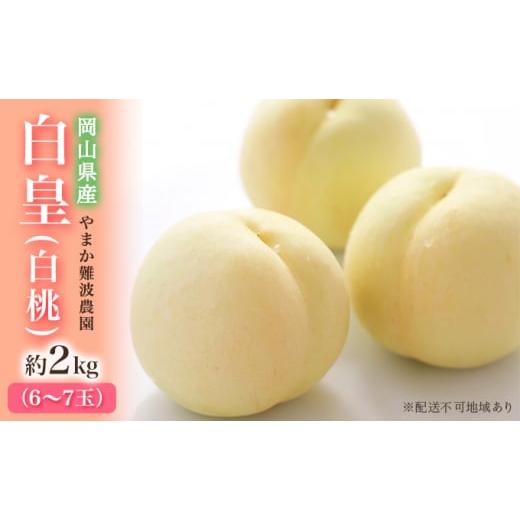 ふるさと納税 もも 岡山県 里庄町 桃 2026年 先行予約 岡山県産 白皇 （ 白桃 ） 約2kg...
