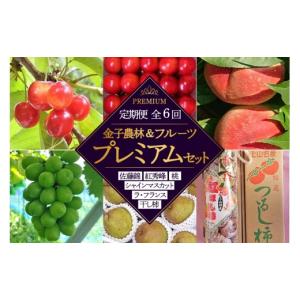 ふるさと納税 果物類 さくらんぼ 山形県 上山市 定期便：全６回 金子農林＆フルーツプレミアムセット（さくらんぼ・桃・シャイン・西洋梨・干柿）　0015-2601