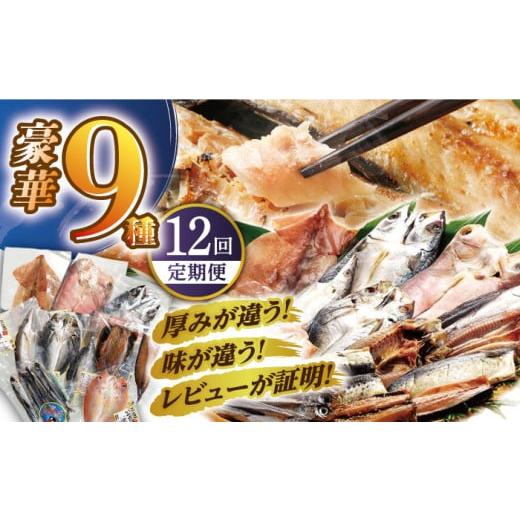 ふるさと納税 長崎県 平戸市 【全12回定期便】【旨味を凝縮】旬鮮平戸干物種詰合せ（×12回） 平戸...