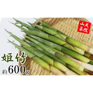 ふるさと納税 野菜類 山菜 岩手県 八幡平市 5月下旬発送開始予定 期間限定 天然山菜 皮付き 竹の子 約600g ／ たけのこ タケノコ 筍 姫竹 ひめたけ ヒメタケ …