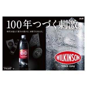 ふるさと納税 炭酸飲料 ソーダ水 山梨県 富士...の詳細画像2