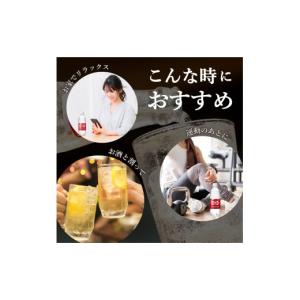 ふるさと納税 炭酸飲料 ソーダ水 山梨県 富士...の詳細画像3