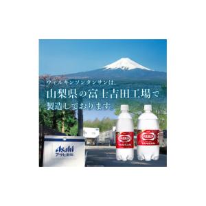 ふるさと納税 炭酸飲料 ソーダ水 山梨県 富士...の詳細画像5