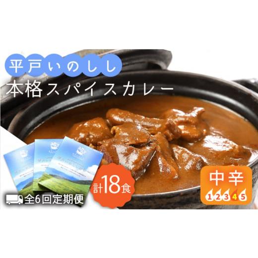 ふるさと納税 長崎県 平戸市 【全6回定期便】平戸いのしし本格 スパイス カレー 3食セット【平戸フ...