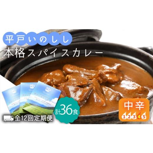 ふるさと納税 長崎県 平戸市 【全12回定期便】平戸いのしし本格 スパイス カレー 3食セット【平戸...