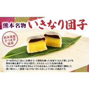 ふるさと納税 熊本県 宇土市 48-20　聖商　　熊本名物　いきなり団子　黒あん20個｜ふるさとチョイス