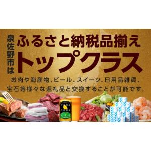 ふるさと納税 ポイント 大阪府 泉佐野市 有効...の詳細画像2