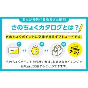 ふるさと納税 ポイント 大阪府 泉佐野市 有効...の詳細画像3